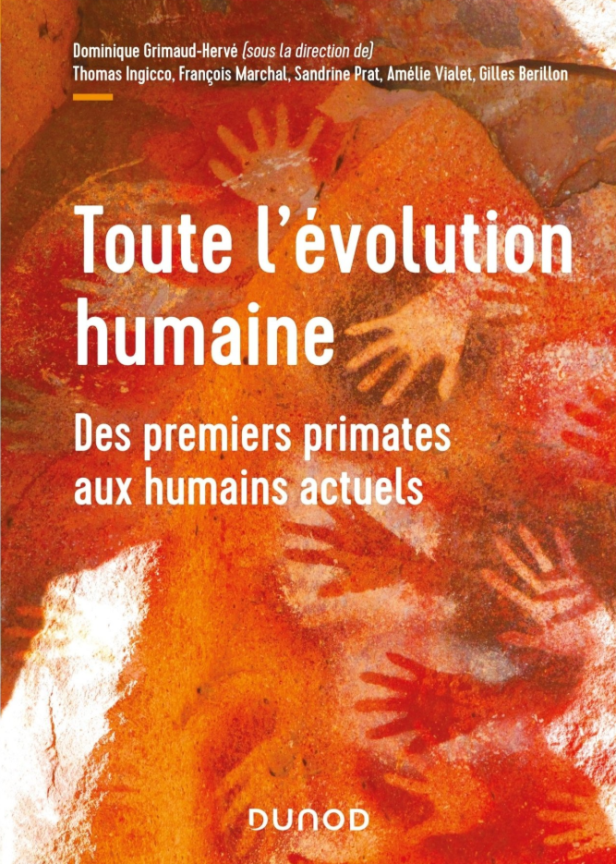 Toute l'évolution humaine