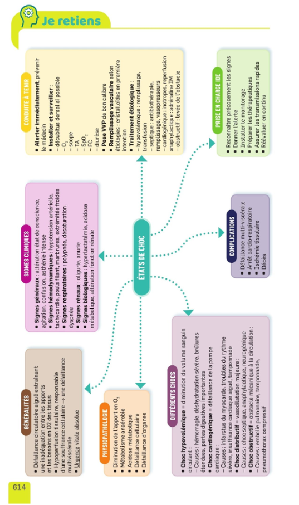 Révision optimale 3 en 1 - UE B1 IFSI