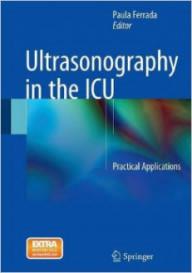 Ultrasonography in the icu