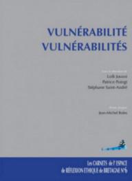 VULNERABILITE-...