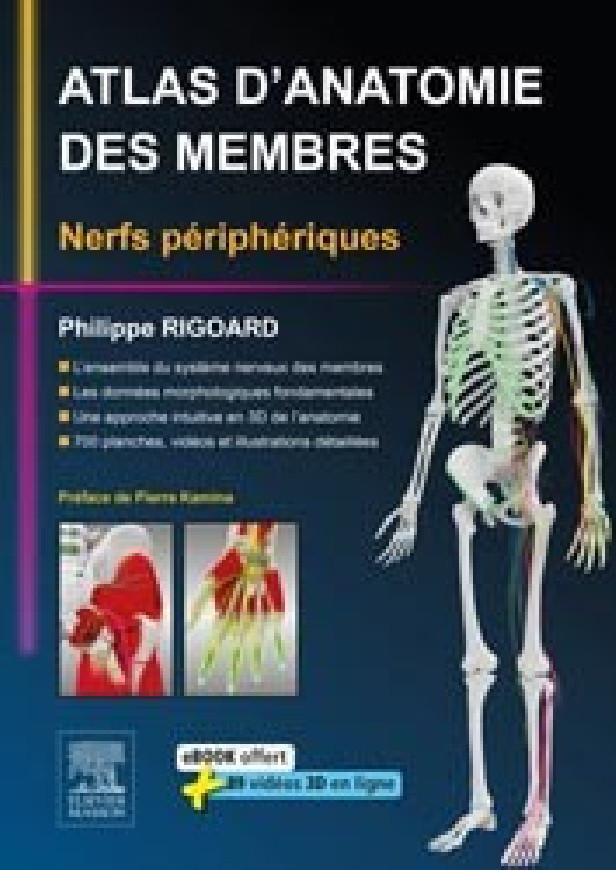 ATLAS D'ANATOMIE DES MEMBRES - NERFS PERIPHERIQUES