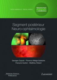 SEGMENT POSTERIEUR...