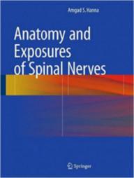 ANATOMY AND EXPOSURES OF...
