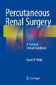 PERCUTANEOUS RENAL SURGERY