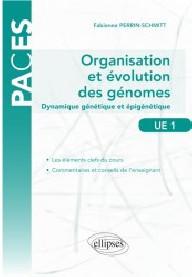 UE1 - ORGANISATION ET...