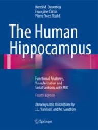 THE HUMAN HIPPOCAMPUS