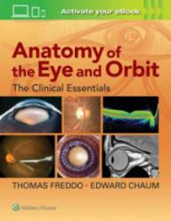 ANATOMY OF THE EYE AND ORBIT