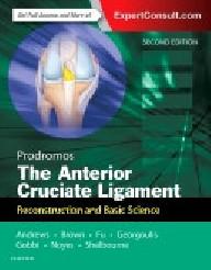 THE ANTERIOR CRUCIATE...