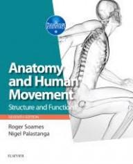 Anatomy and human movement...