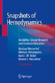 Snapshots of hemodynamics...