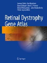 Retinal dystrophy gene atlas