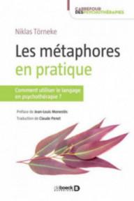 LES METAPHORES EN PRATIQUE...