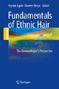 Fundamentals of ethnic...