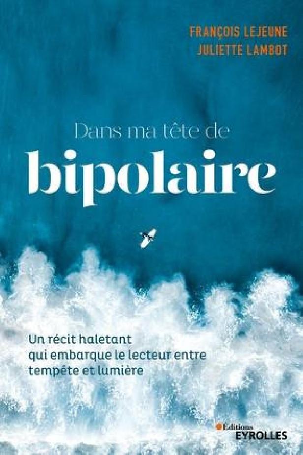 DANS MA TETE DE BIPOLAIRE - UN RECIT HALETANT QUI EMBARQUE LE LECTEUR ENTRE PENOMBRE ET LUMIERE