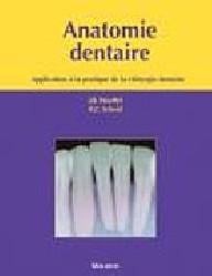 ANATOMIE DENTAIRE