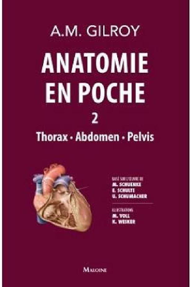 ANATOMIE EN POCHE VOL 2 - VOLUME 2 : THORAX - ABDOMEN - PELVIS