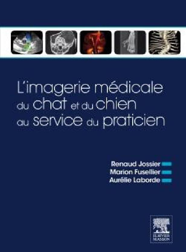L'imagerie médicale du chat et du chien au service du praticien