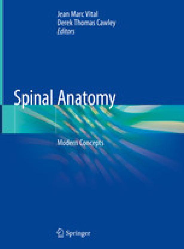Spinal anatomy - modern concepts
