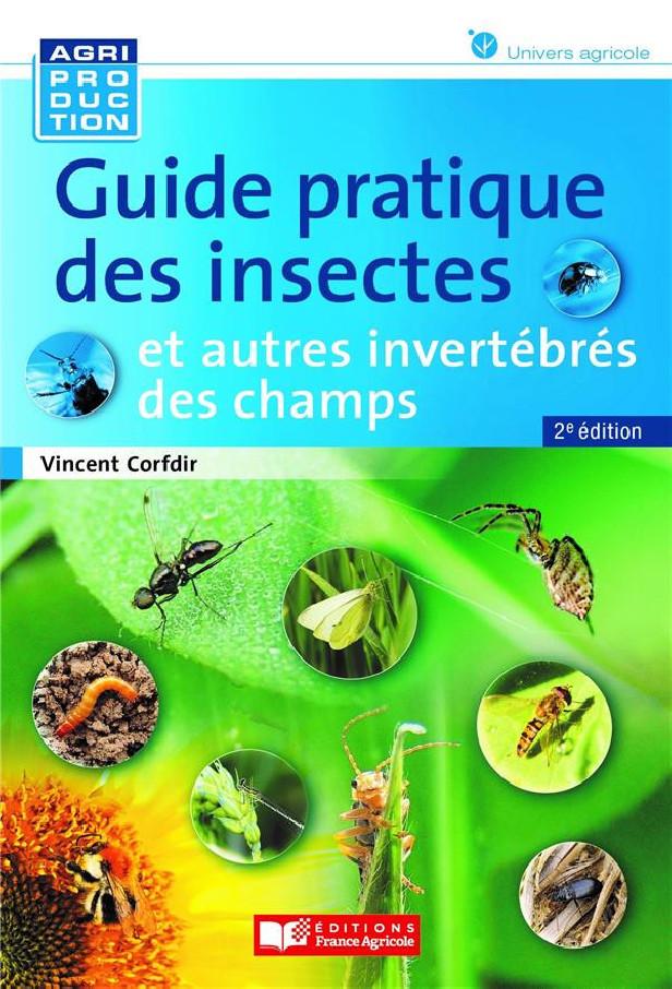 GUIDE PRATIQUE DES INSECTES ET AUTRES INVERTEBRES DES CHAMPS