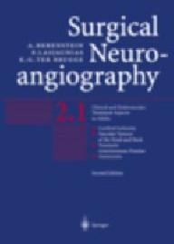 SURGICAL NEUROANGIOGRAPHY...