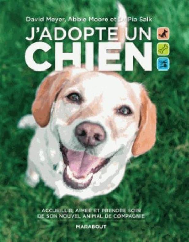 J'ADOPTE UN CHIEN