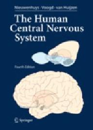 THE HUMAN CENTRAL NERVOUS...