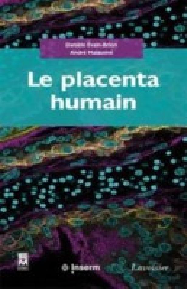LE PLACENTA HUMAIN