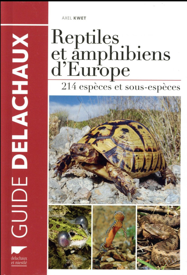 REPTILES ET AMPHIBIENS D'EUROPE - 214 ESPECES ET SOUS-ESPECES