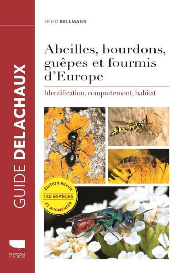 ABEILLES, BOURDONS, GUEPES ET FOURMIS D'EUROPE - IDENTIFICATION, COMPORTEMENT, HABITAT