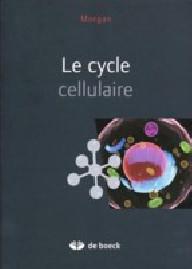 LE CYCLE CELLULAIRE