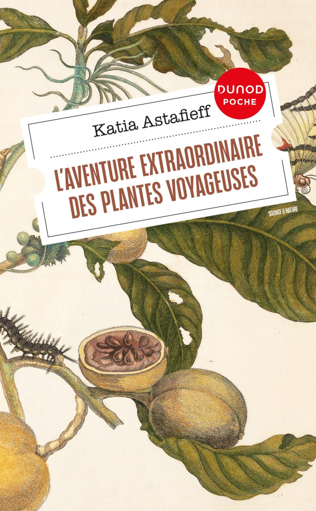 L'AVENTURE EXTRAORDINAIRE DES PLANTES VOYAGEUSES
