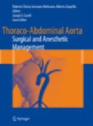 Thoraco-abdominal aorta