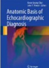 Anatomic basis of...