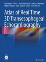 ATLAS OF REAL-TIME 3D...