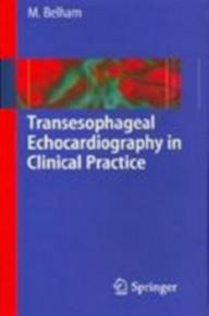 TRANSESOPHAGEAL...