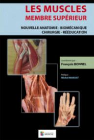 LES MUSCLES - MEMBRE...