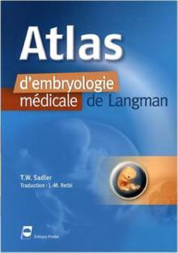 ATLAS D'EMBRYOLOGIE MEDICALE DE LANGMANN