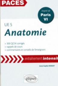 UE5 - ANATOMIE