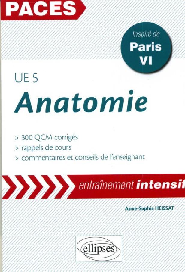 UE5 - ANATOMIE