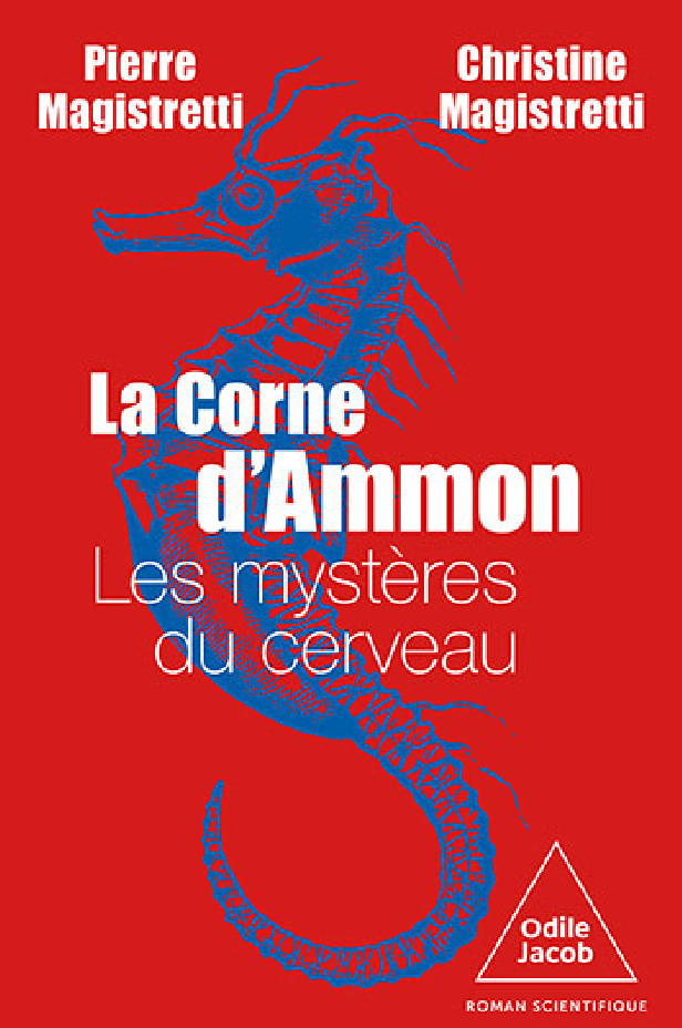 LA CORNE D'AMMON - LES MYSTERES DU CERVEAU
