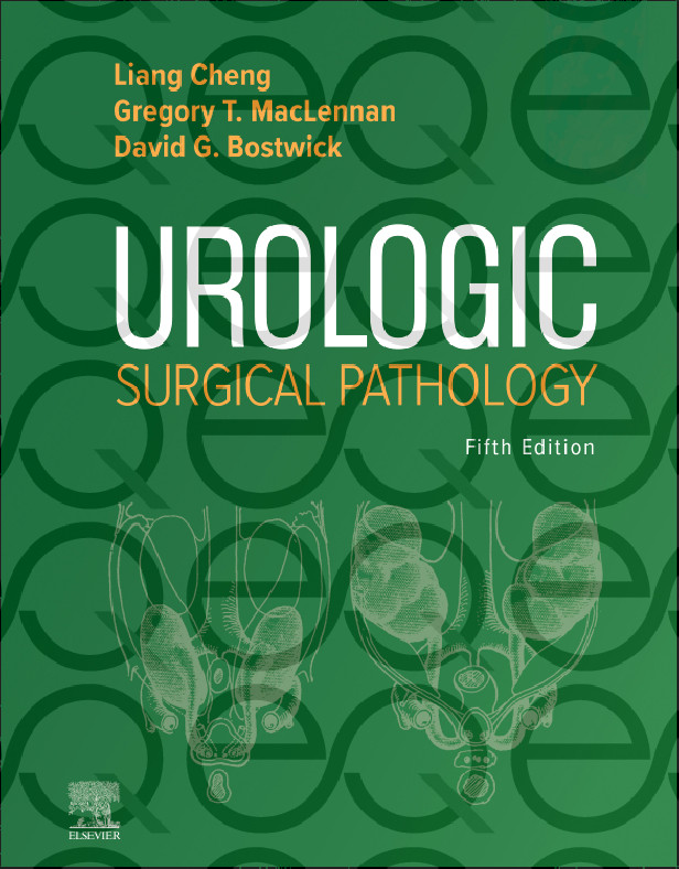 UROLOGICAL SURGICAL PATHOLOGY 5TH EDITION