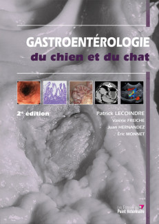 GASTROENTEROLOGIE DU CHIEN ET DU CHAT, 2E EDITION - ILLUSTRATIONS, COULEUR