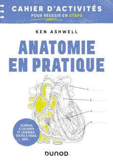 ANATOMIE EN PRATIQUE - CAHIER D'ACTIVITES POUR REUSSIR EN STAPS - COLORIER, ANNOTER, MEMORISER