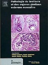 PATHOLOGIE DU TESTICULE ET...
